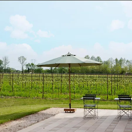 La Rosarnetta Alloggio per agriturismo *