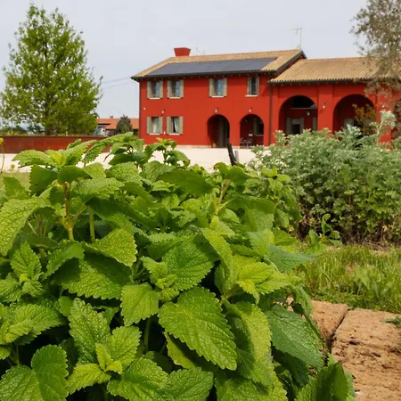 Alloggio per agriturismo La Rosarnetta Silea